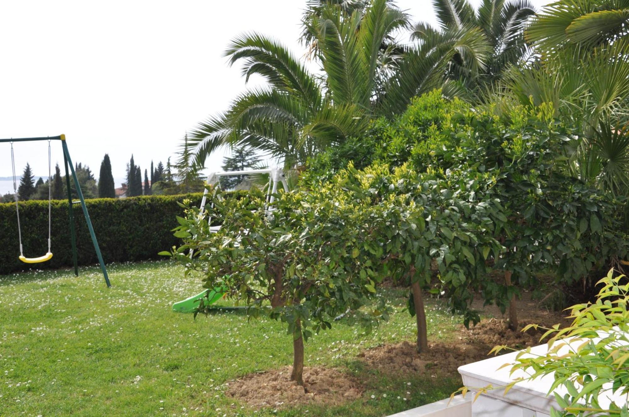 בפורטורוז Apartments Ananina חדר תמונה